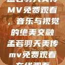 孟若羽天美传MV免费观看，音乐与视觉的绝美交融孟若羽天美传mv免费观看在线观看  第1张