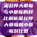 蜜丝婷大草莓与小草莓的对比解析蜜丝婷大草莓和小草莓对比图  第1张