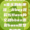 俄罗斯Bass音乐的新潮流，Bbox撕裂与Bass的交融bbox撕裂bass俄罗斯暗夜  第1张