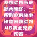 暴躁老妈与荒野大镖客，一段别样的故事碰撞暴躁老妈46集全免费观看  第1张