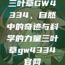三叶草GW4334，自然中的奇迹与科学的力量三叶草gw4334官网  第1张