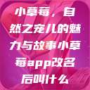 小草莓，自然之宠儿的魅力与故事小草莓app改名后叫什么  第1张