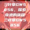 三叶草GW5856，探索奇迹的旅程三叶草GW5856  第1张
