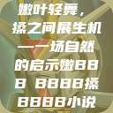 嫩叶轻舞，槡搡之间展生机—一场自然的启示嫩BBB槡BBBB搡BBBB小说  第1张
