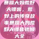 暴躁大妈荒野大镖客，荒野上的传奇故事暴躁大妈荒野大镖客视频大全  第1张