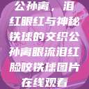 公孙离，泪红眼红与神秘铁球的交织公孙离眼流泪红脸咬铁球图片在线观看  第1张