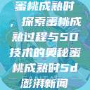 蜜桃成熟时，探索蜜桃成熟过程与5D技术的奥秘蜜桃成熟时5d澎湃新闻  第1张