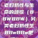 另类视角下的老妇奶性与生命的颂歌（BBWBBW）另类老妇奶性生BBwBBw肥婆BBX  第1张