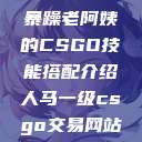 暴躁老阿姨的CSGO技能搭配介绍人马一级csgo交易网站  第1张