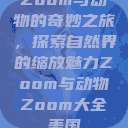 Zoom与动物的奇妙之旅，探索自然界的缩放魅力Zoom与动物Zoom大全美国  第1张