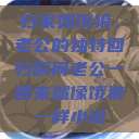 归家如饿狼，老公的独特回归瞬间老公一回来就像饿狼一样小说  第1张