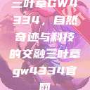 三叶草GW4334，自然奇迹与科技的交融三叶草gw4334官网  第1张