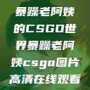 暴躁老阿姨的CSGO世界暴躁老阿姨csgo图片高清在线观看  第1张