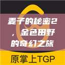麦子的秘密2，金色田野的奇幻之旅  第1张