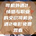 司机外遇2，情感与职业的交织司机外遇2电影免费观看  第1张