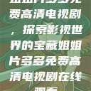 姐姐片多多免费高清电视剧，探索影视世界的宝藏姐姐片多多免费高清电视剧在线观看  第1张