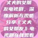 丈夫的女朋友电视剧，深度解析与观感分享《丈夫的女朋友》电视剧在线观看  第1张