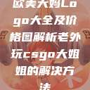 欧美大妈Logo大全及价格图解析老外玩csgo大姐姐的解决方法  第1张