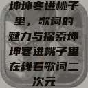 坤坤寒进桃子里，歌词的魅力与探索坤坤寒进桃子里在线看歌词二次元  第1张