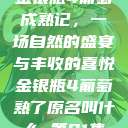 金银瓶4葡萄成熟记，一场自然的盛宴与丰收的喜悦金银瓶4葡萄熟了原名叫什么_第01集  第1张