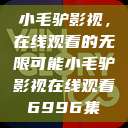 小毛驴影视，在线观看的无限可能小毛驴影视在线观看6996集  第1张
