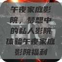 午夜家庭影院，梦想中的私人影院体验午夜家庭影院福利  第1张