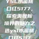 YSL水蜜桃口红5177，探索美妆新境界的魅力之选ysl水蜜桃口红5117  第1张