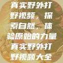 真实野外打野视频,探索自然,体验原始的力量真实野外打野视频大全 第1张 真实野外打野视频,探索自然,体验原始的力量真实野外打野视频大全 第1张