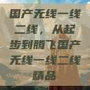 国产无线一线二线，从起步到腾飞国产无线一线二线精品  第1张