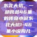 东北大坑，一部跨越46集的传奇小说东北大坑1-46集小说狗儿  第1张
