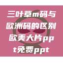 三叶草m码与欧洲码的区别欧美大片ppt免费ppt  第1张