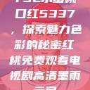 YSL水蜜桃口红5337，探索魅力色彩的秘密红桃免费观看电视剧高清墨雨云间  第1张
