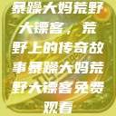 暴躁大妈荒野大镖客，荒野上的传奇故事暴躁大妈荒野大镖客免费观看  第1张