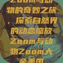 Zoom与动物的奇妙之旅，探索自然界的动态缩放Zoom与动物Zoom大全美国  第1张