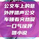 公交车上的意外呼噜声公交车睡着突然吸一口气像呼噜小说  第1张