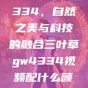 三叶草GW4334，自然之美与科技的融合三叶草gw4334视频配什么颜色  第1张