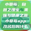 小草莓，自然之瑰宝，美味与健康之源小草莓app改名后叫什么  第1张