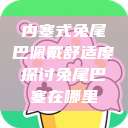 内塞式兔尾巴佩戴舒适度探讨兔尾巴塞在哪里  第1张