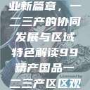 探索中国产业新篇章，一二三产的协同发展与区域特色解读99精产国品一二三产区区观看  第1张